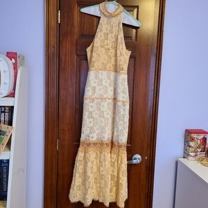 Elegant Lace Dress with Cold Shoulder